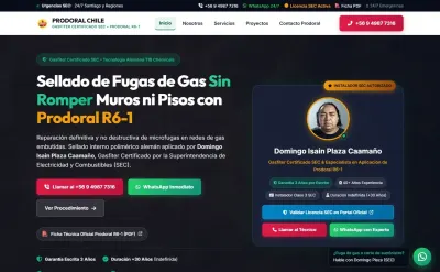 Prodoral Chile - Sellado de Fugas de Gas & SEO